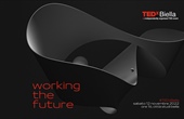 #TEDxBiella: working the future